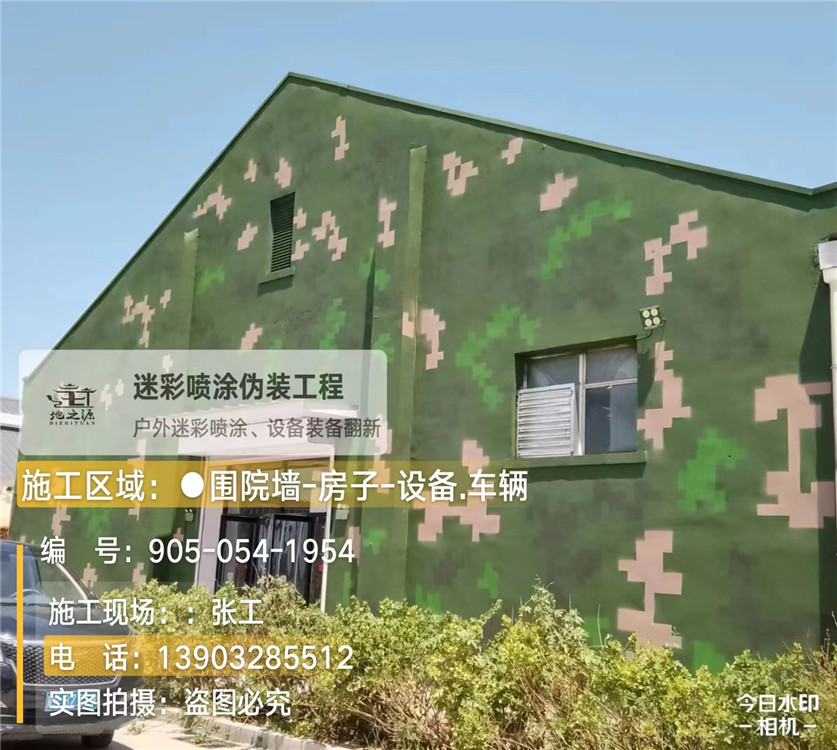 庆阳外墙数码迷彩漆施工报价清单(100㎡标准墙面测算)